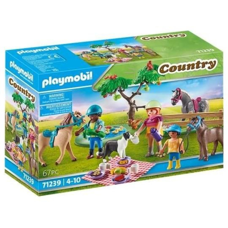 Playmobil 71239 Πικ Νικ Στην Εξοχή