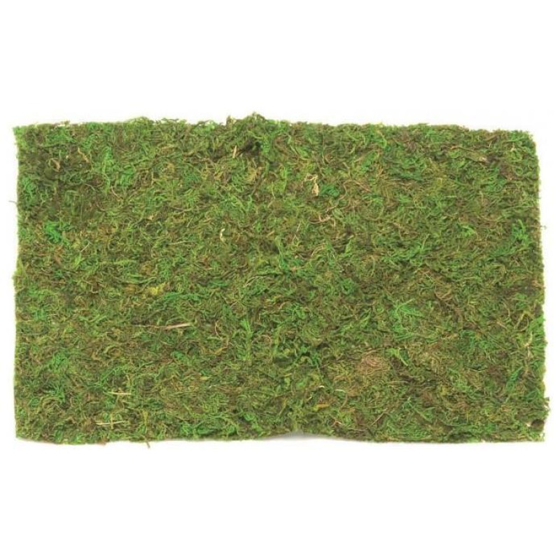 Glorex Γρασίδι Χειροτεχνίας 30g Σε Σακουλάκι Χρώμα Πράσινο 62220304