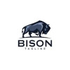 Bison